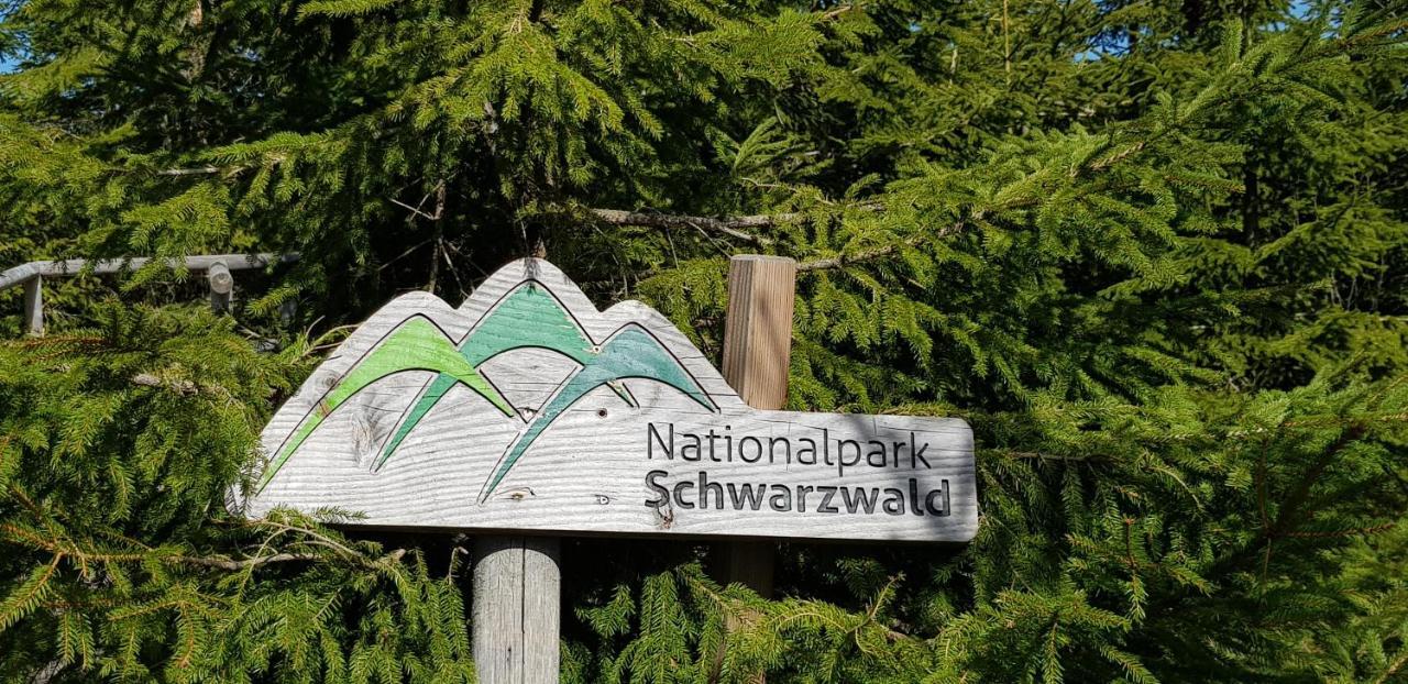 Ferienwohnung Vogelnest Im Schwarzwald Baiersbronn Εξωτερικό φωτογραφία