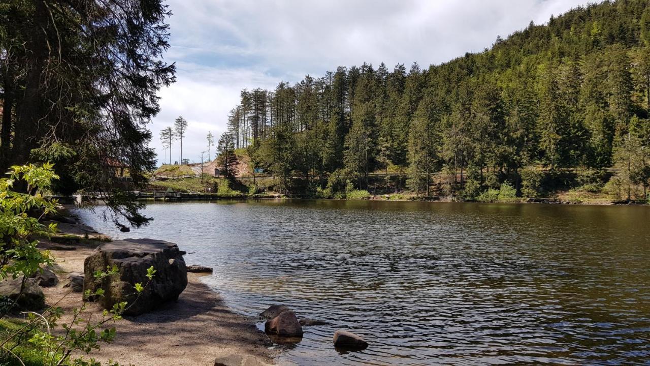 Ferienwohnung Vogelnest Im Schwarzwald Baiersbronn Εξωτερικό φωτογραφία
