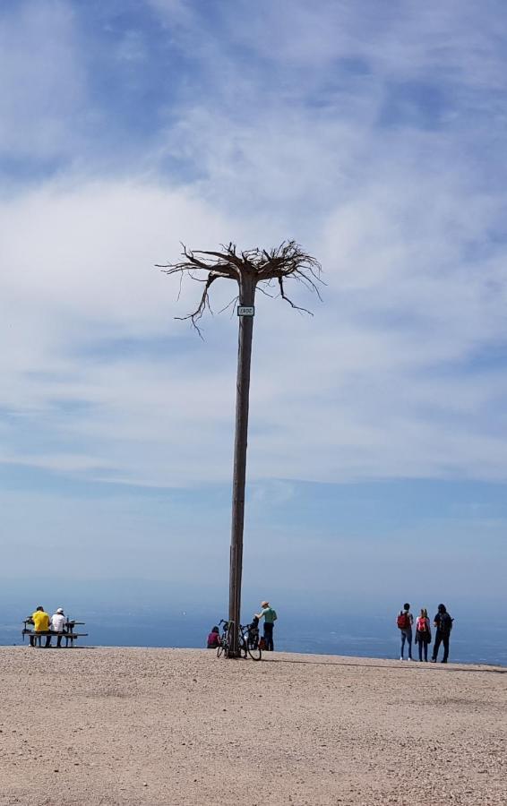 Ferienwohnung Vogelnest Im Schwarzwald Baiersbronn Εξωτερικό φωτογραφία
