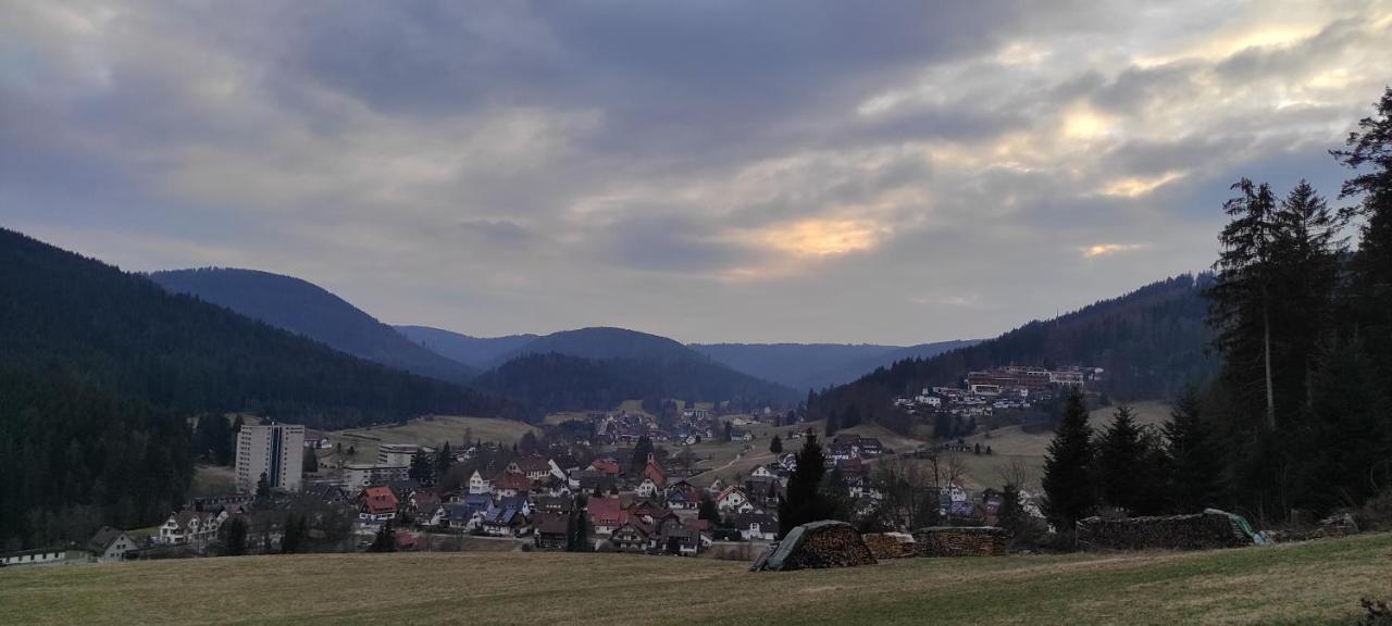 Ferienwohnung Vogelnest Im Schwarzwald Baiersbronn Εξωτερικό φωτογραφία