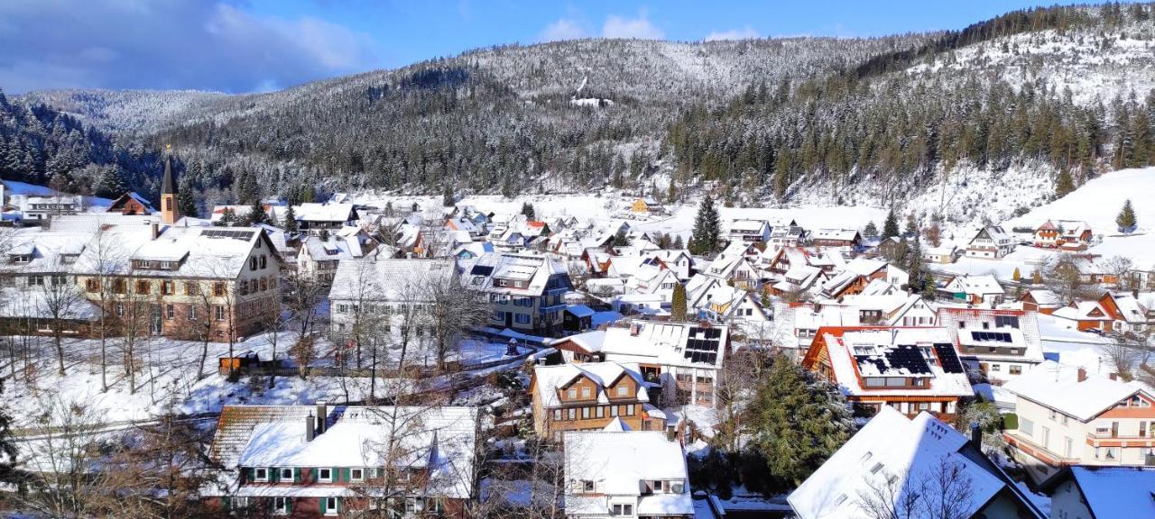 Ferienwohnung Vogelnest Im Schwarzwald Baiersbronn Εξωτερικό φωτογραφία