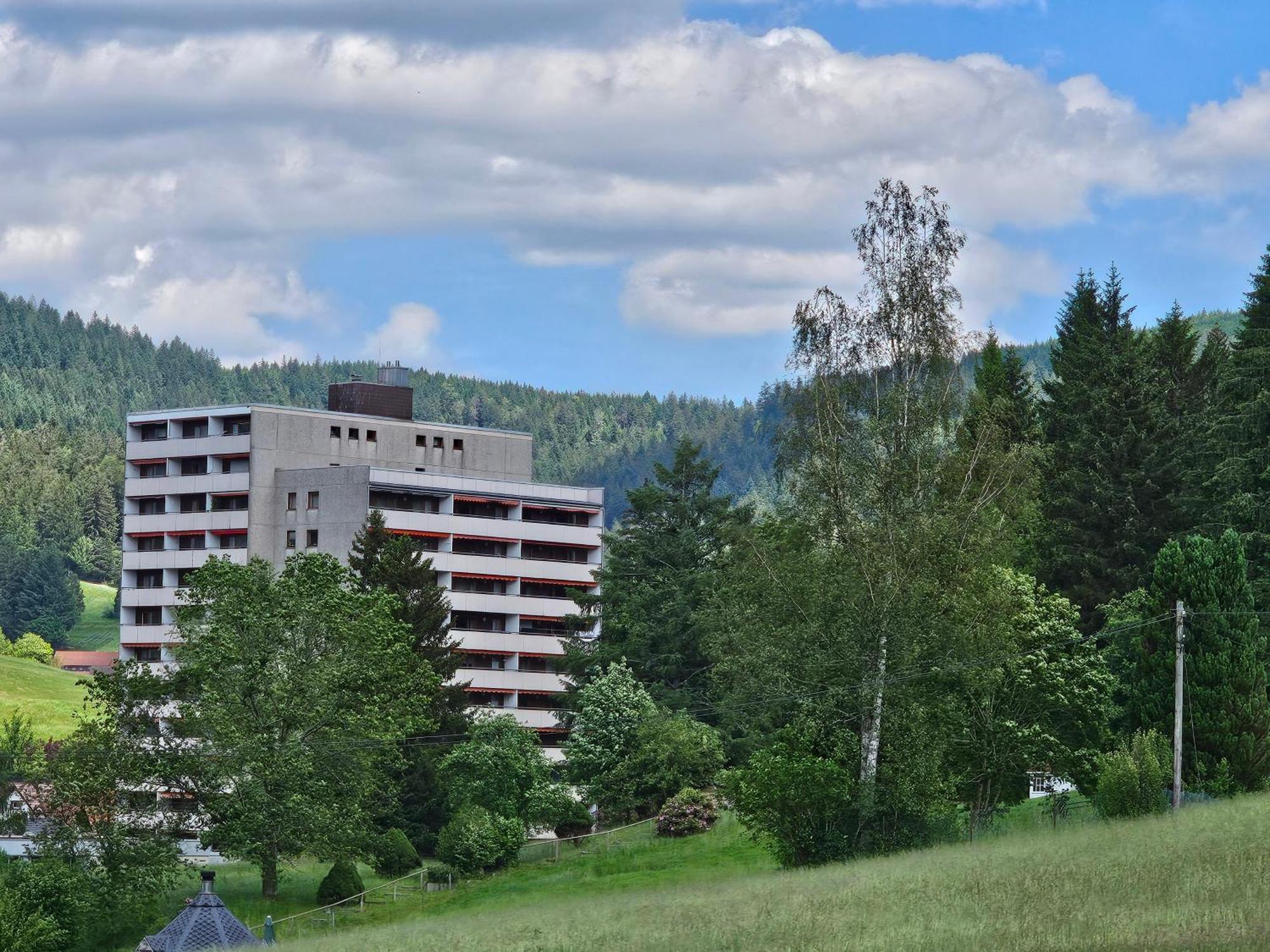 Ferienwohnung Vogelnest Im Schwarzwald Baiersbronn Εξωτερικό φωτογραφία