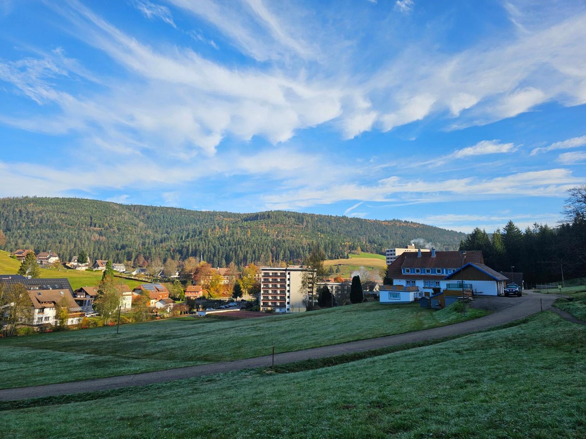 Ferienwohnung Vogelnest Im Schwarzwald Baiersbronn Εξωτερικό φωτογραφία