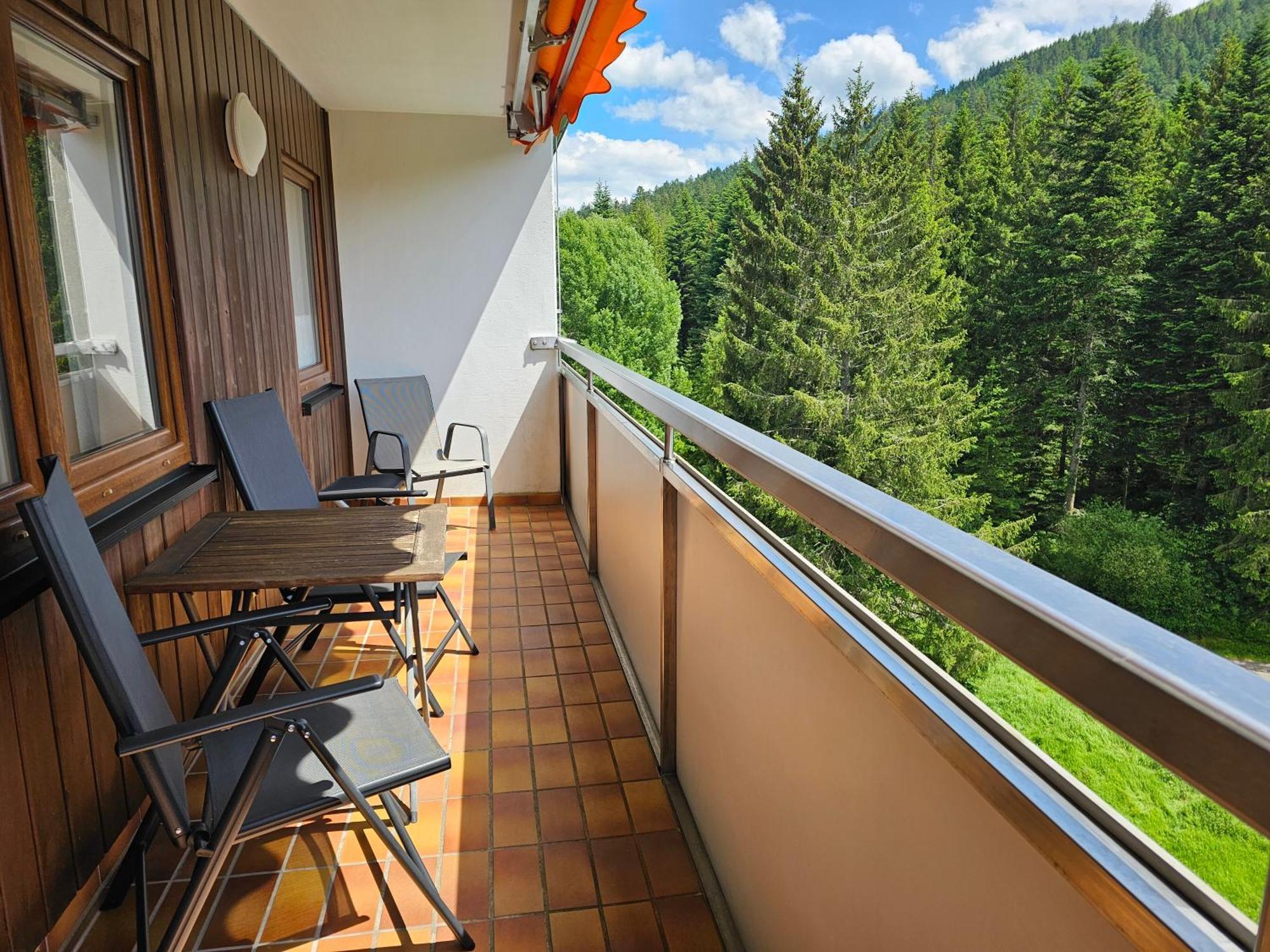 Ferienwohnung Vogelnest Im Schwarzwald Baiersbronn Εξωτερικό φωτογραφία